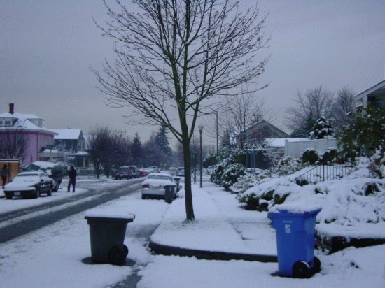 Steele Street Snow.gif